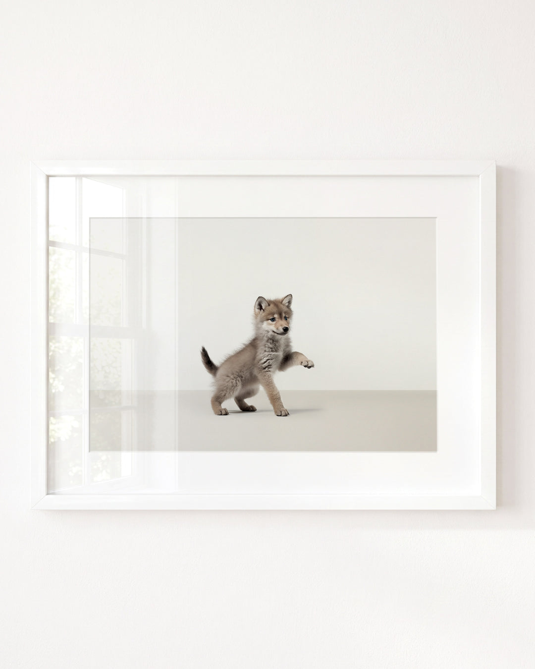 Studio Wolf Art Print