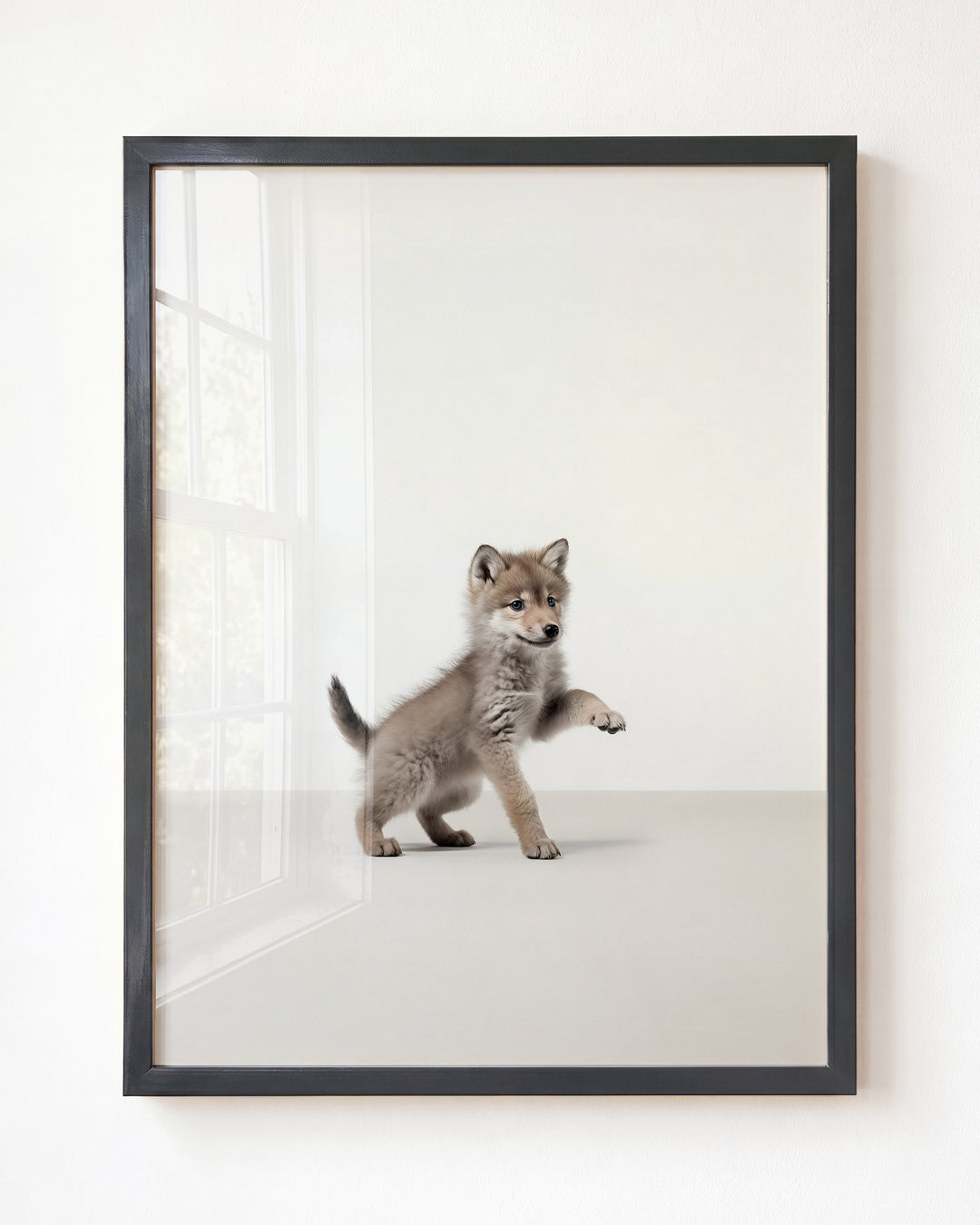 Studio Wolf Art Print