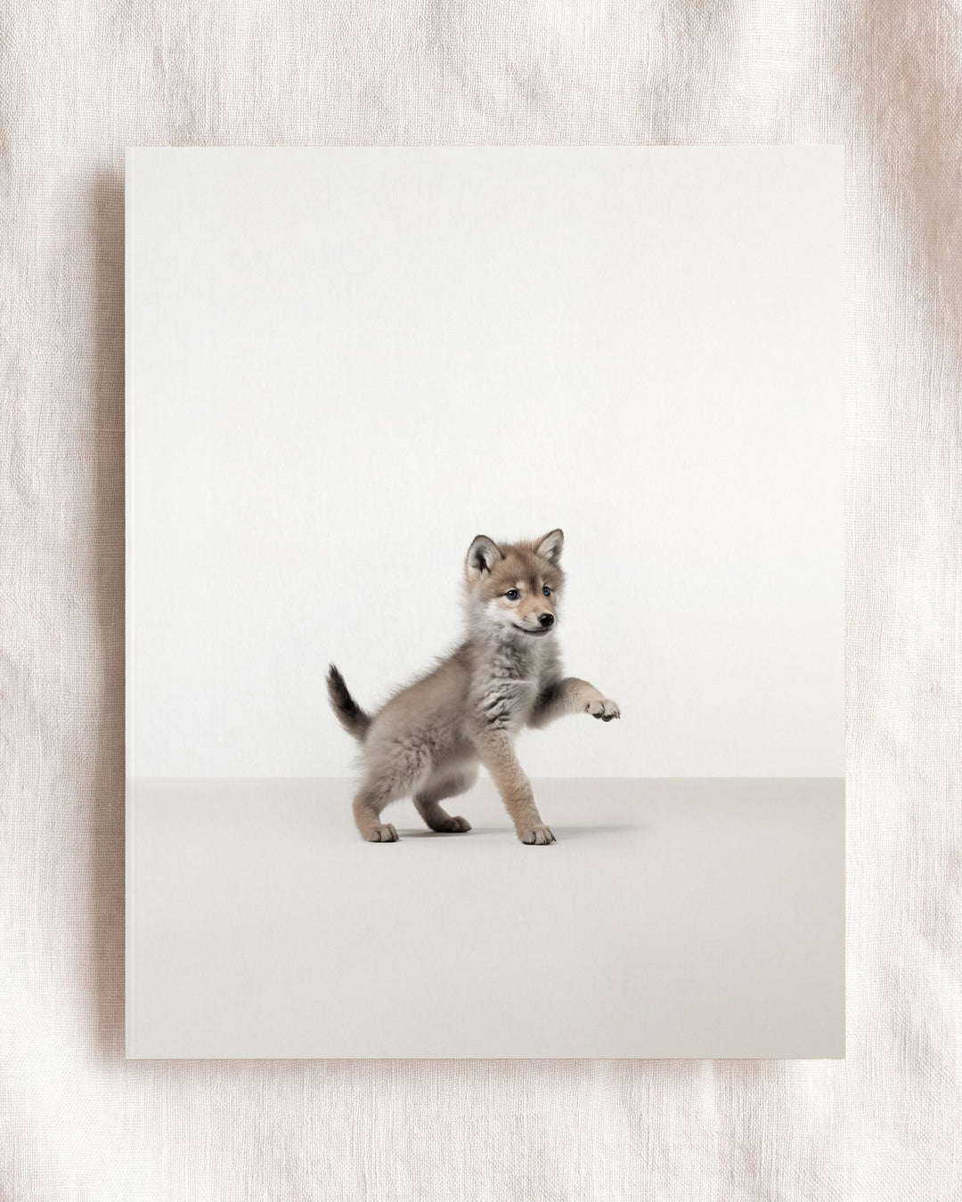 Studio Wolf Art Print