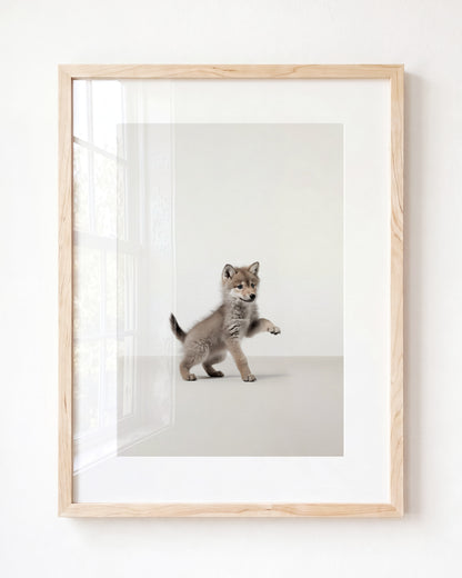 Studio Wolf Art Print