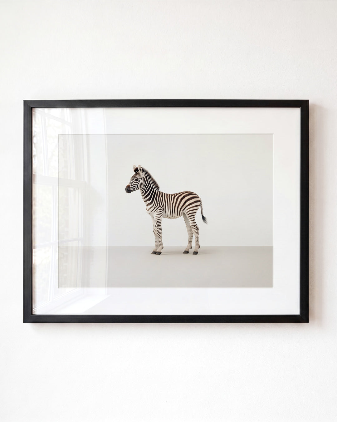Studio Zebra Art Print