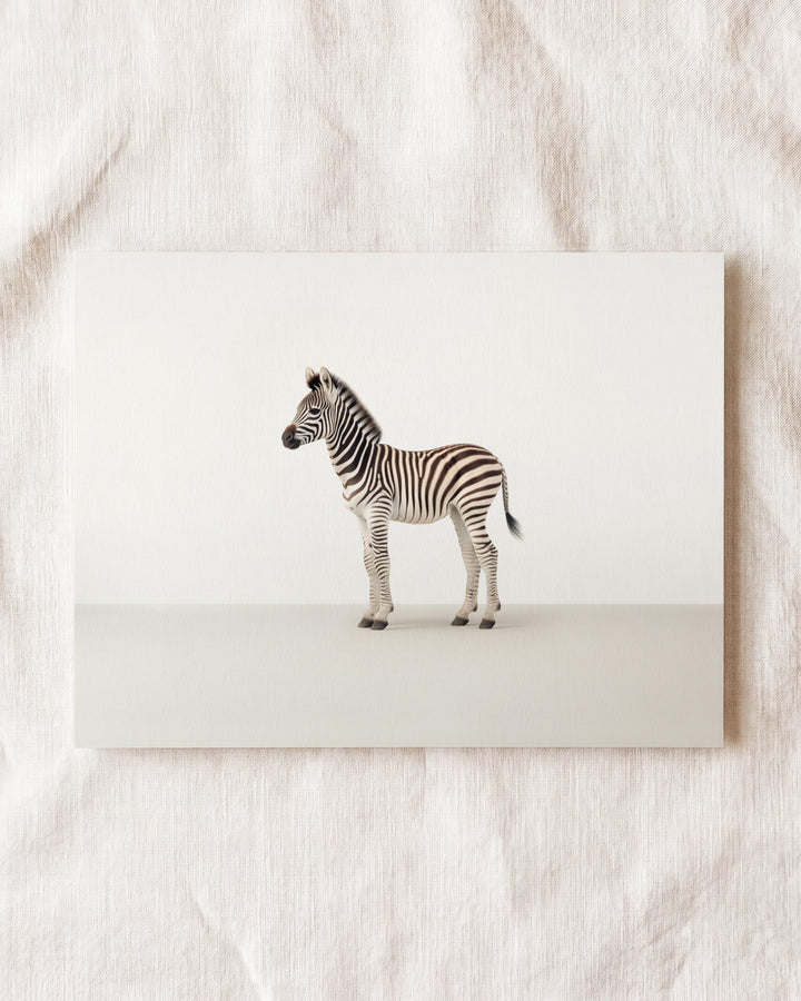 Studio Zebra Art Print
