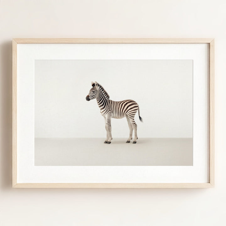 Studio Zebra Art Print