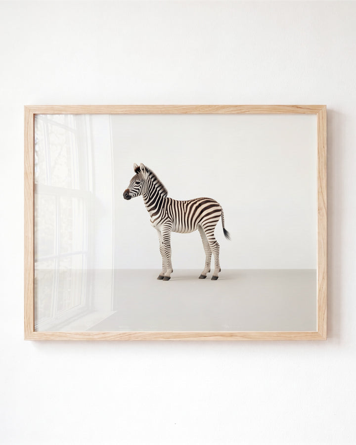 Studio Zebra Art Print