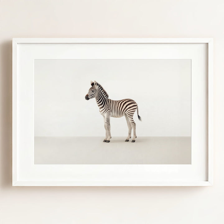 Studio Zebra Art Print