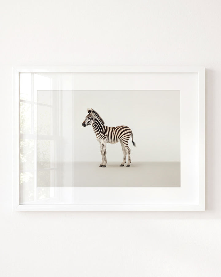 Studio Zebra Art Print