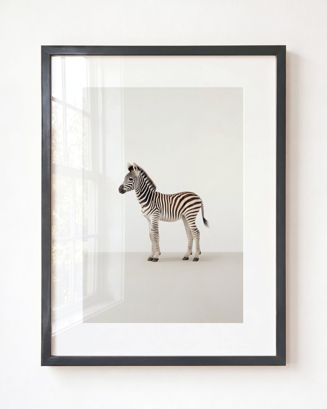 Studio Zebra Art Print