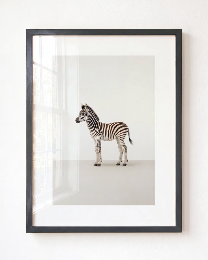 Studio Zebra Art Print