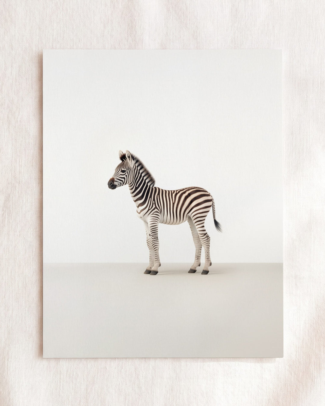 Studio Zebra Art Print