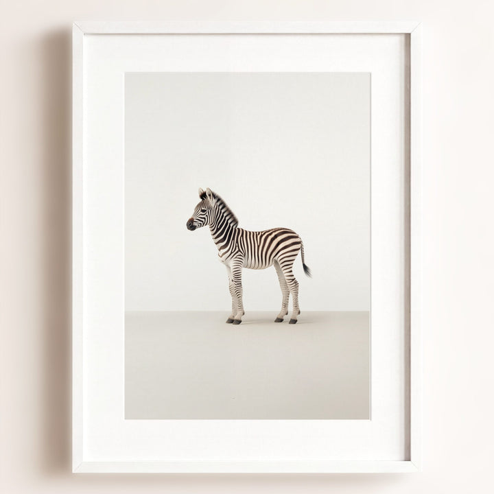 Studio Zebra Art Print