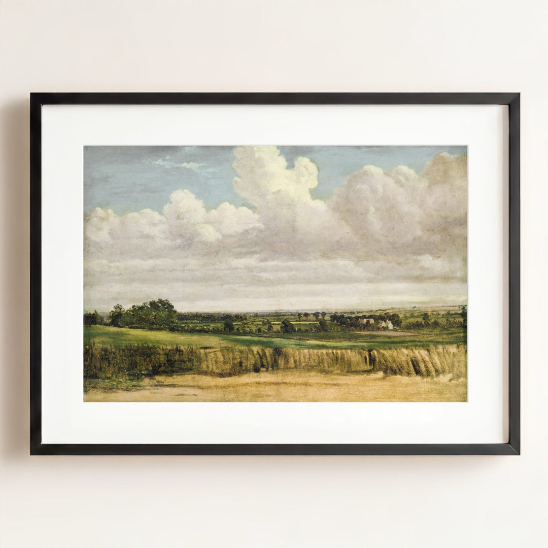 Summer Wheatfield