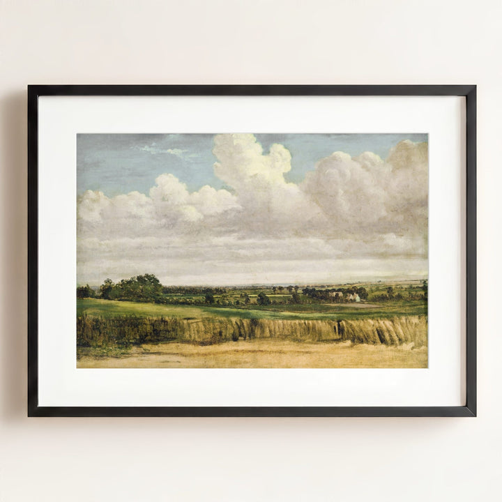 Summer Wheatfield