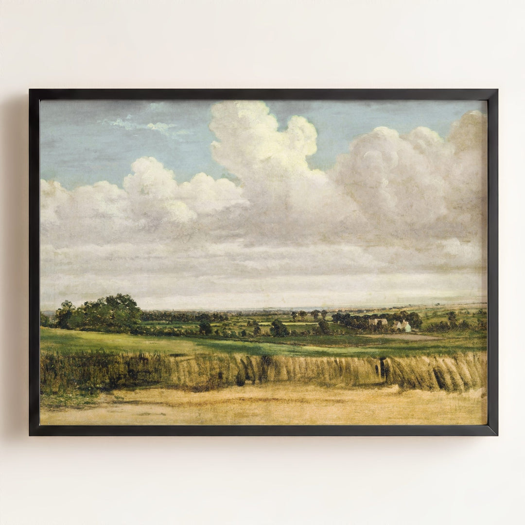 Summer Wheatfield