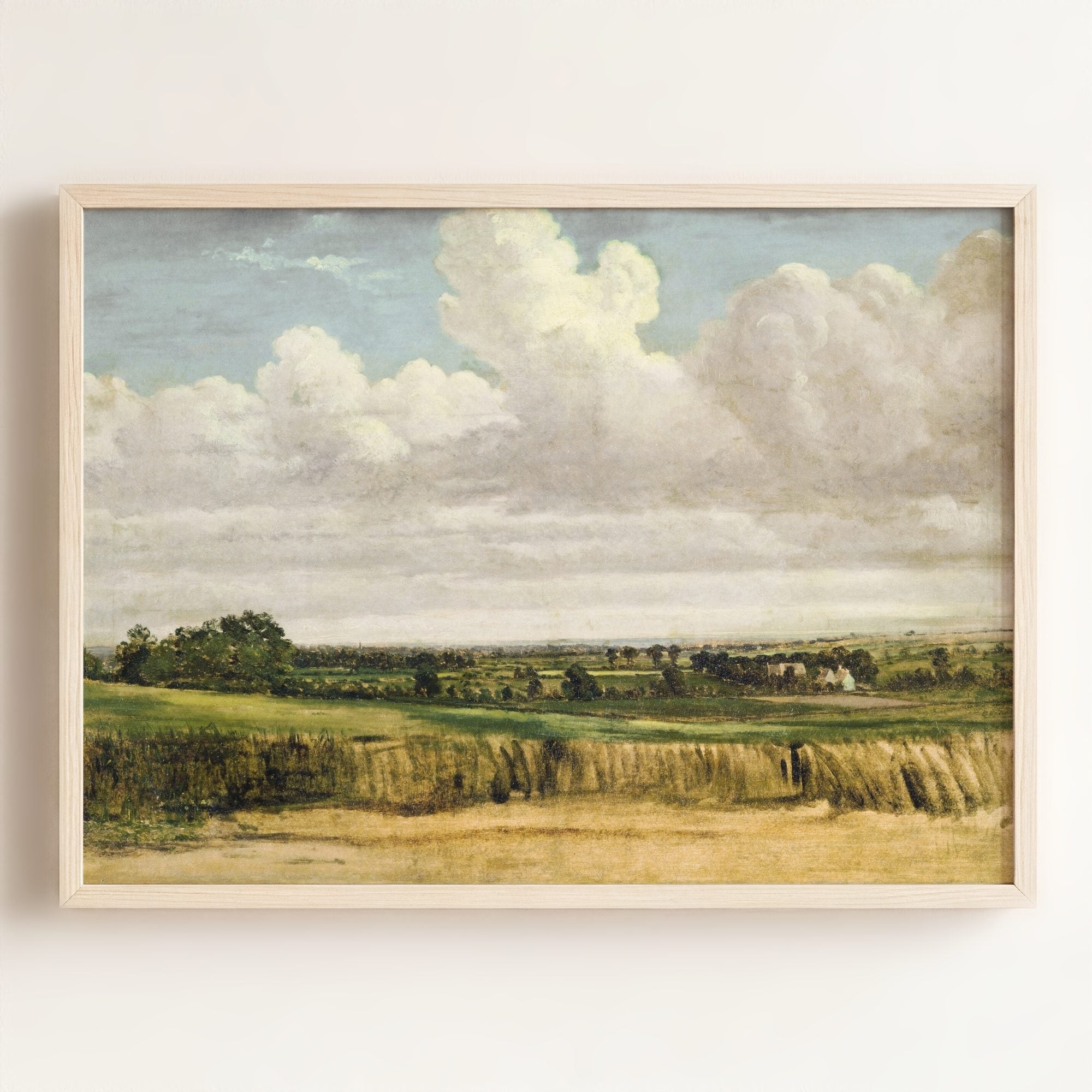 Summer Wheatfield