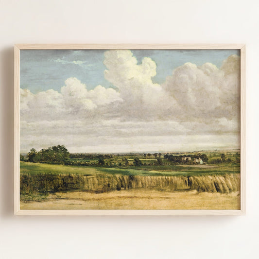 Summer Wheatfield