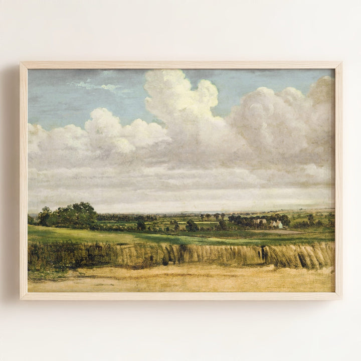 Summer Wheatfield