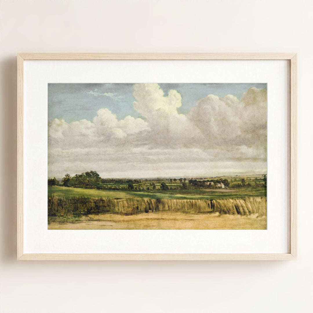 Summer Wheatfield