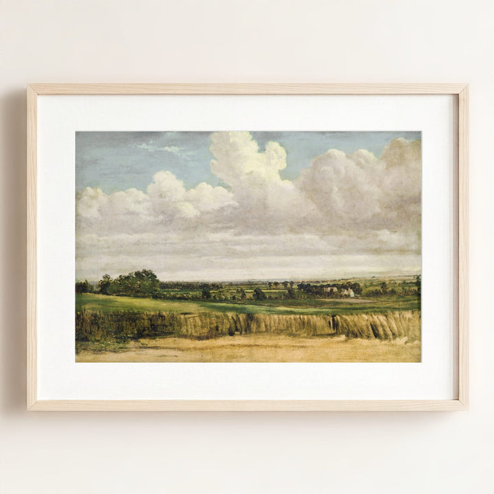 Summer Wheatfield