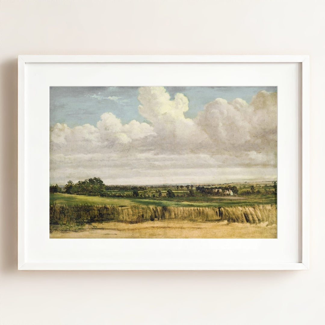 Summer Wheatfield