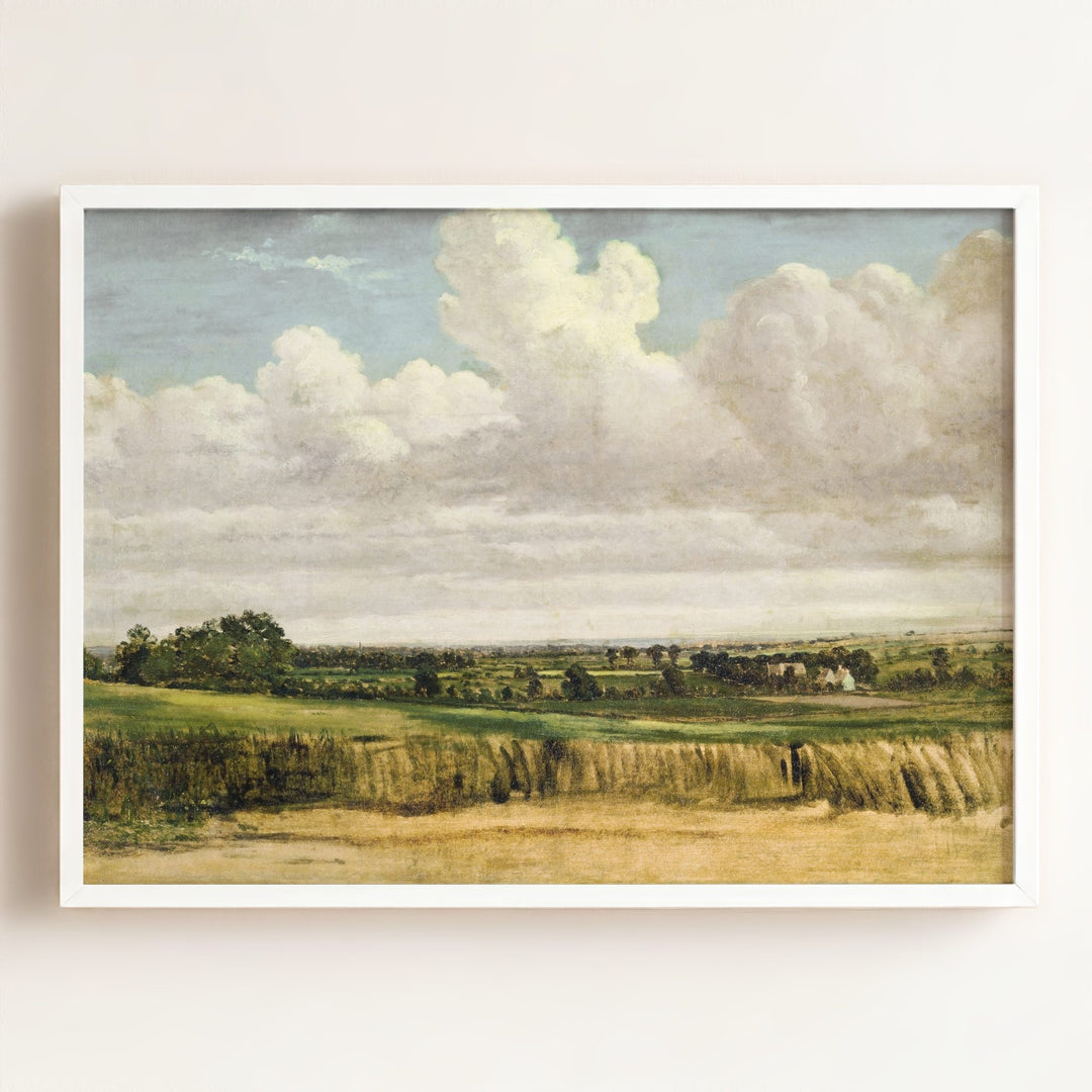 Summer Wheatfield