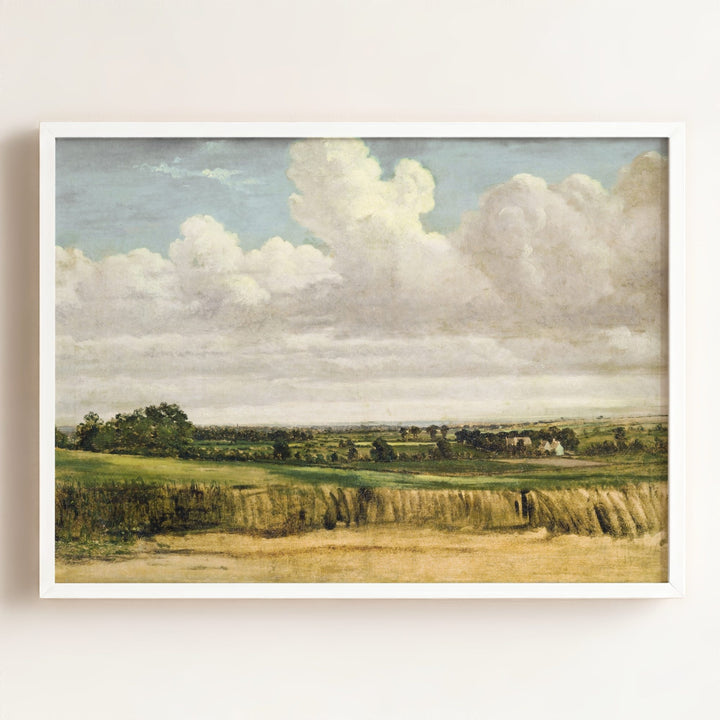 Summer Wheatfield