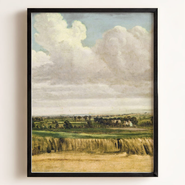 Summer Wheatfield