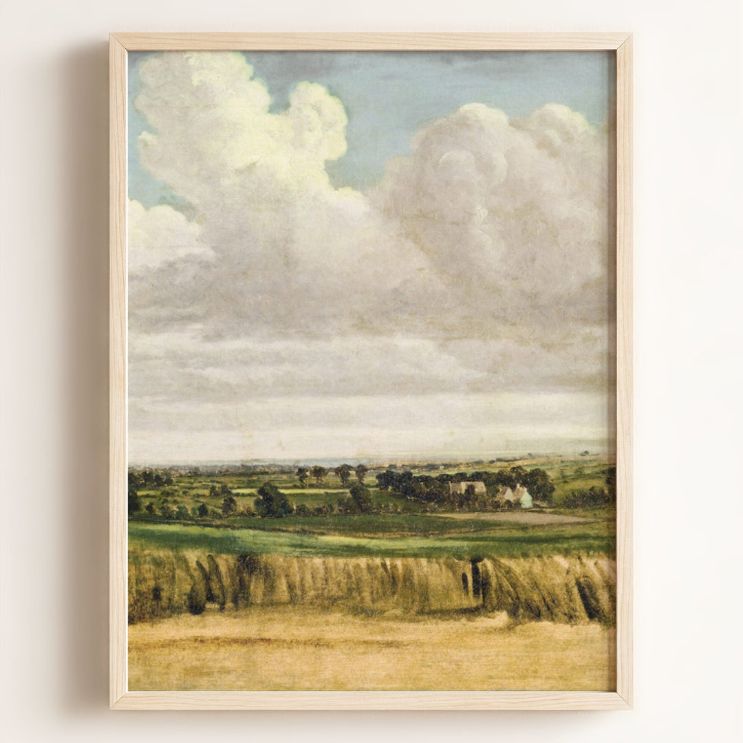 Summer Wheatfield