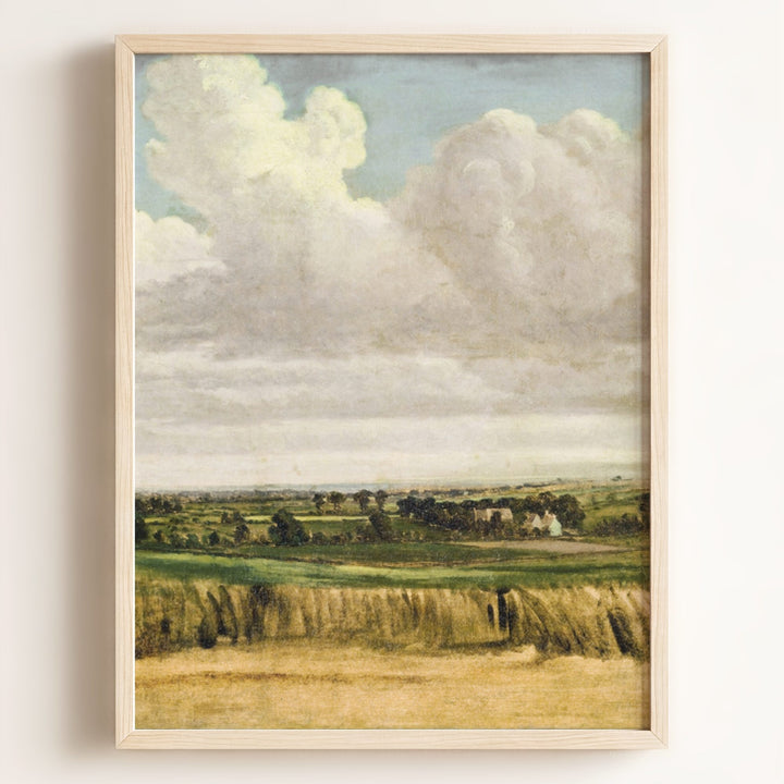 Summer Wheatfield