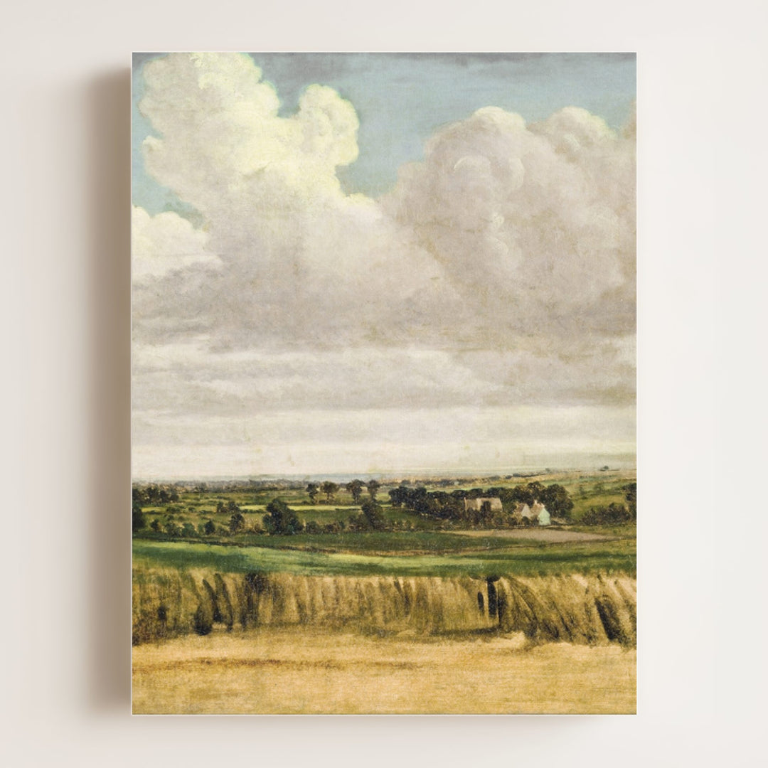 Summer Wheatfield