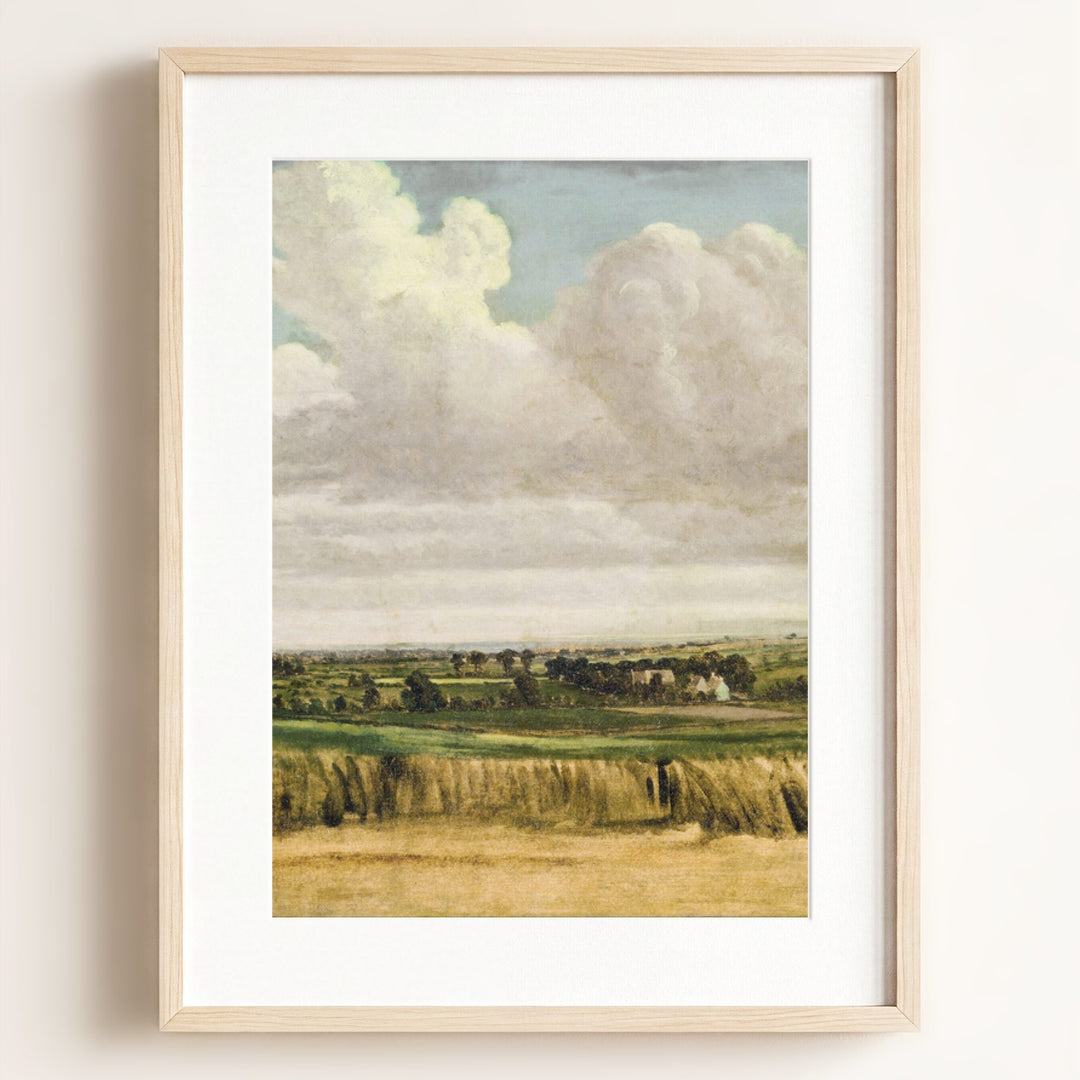 Summer Wheatfield