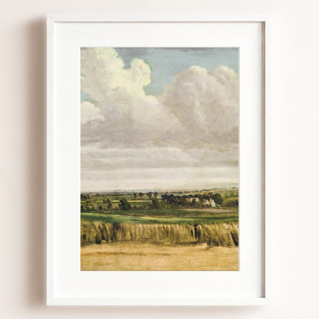 Summer Wheatfield