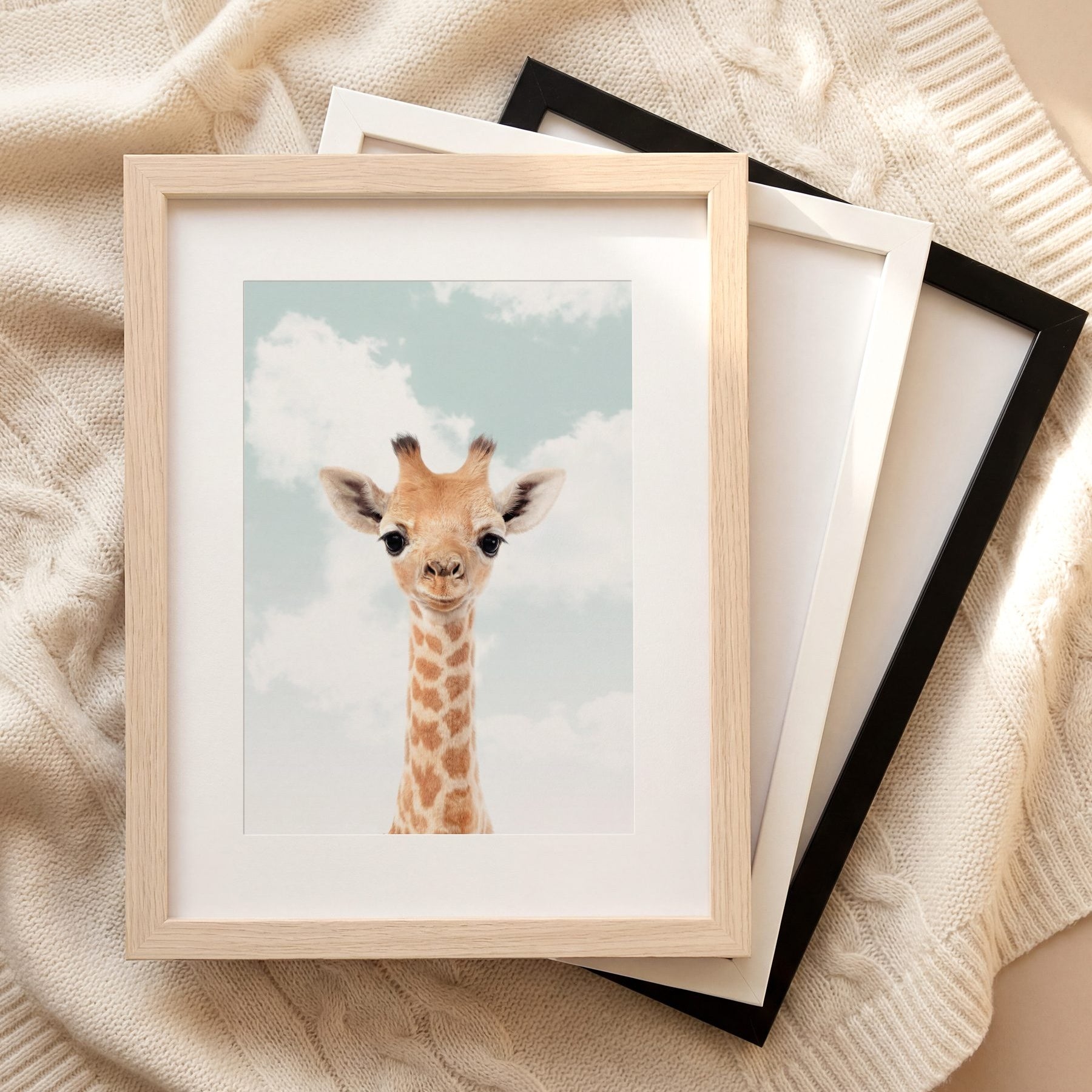 The Baby Animals 2026 Collection - Blue Skies