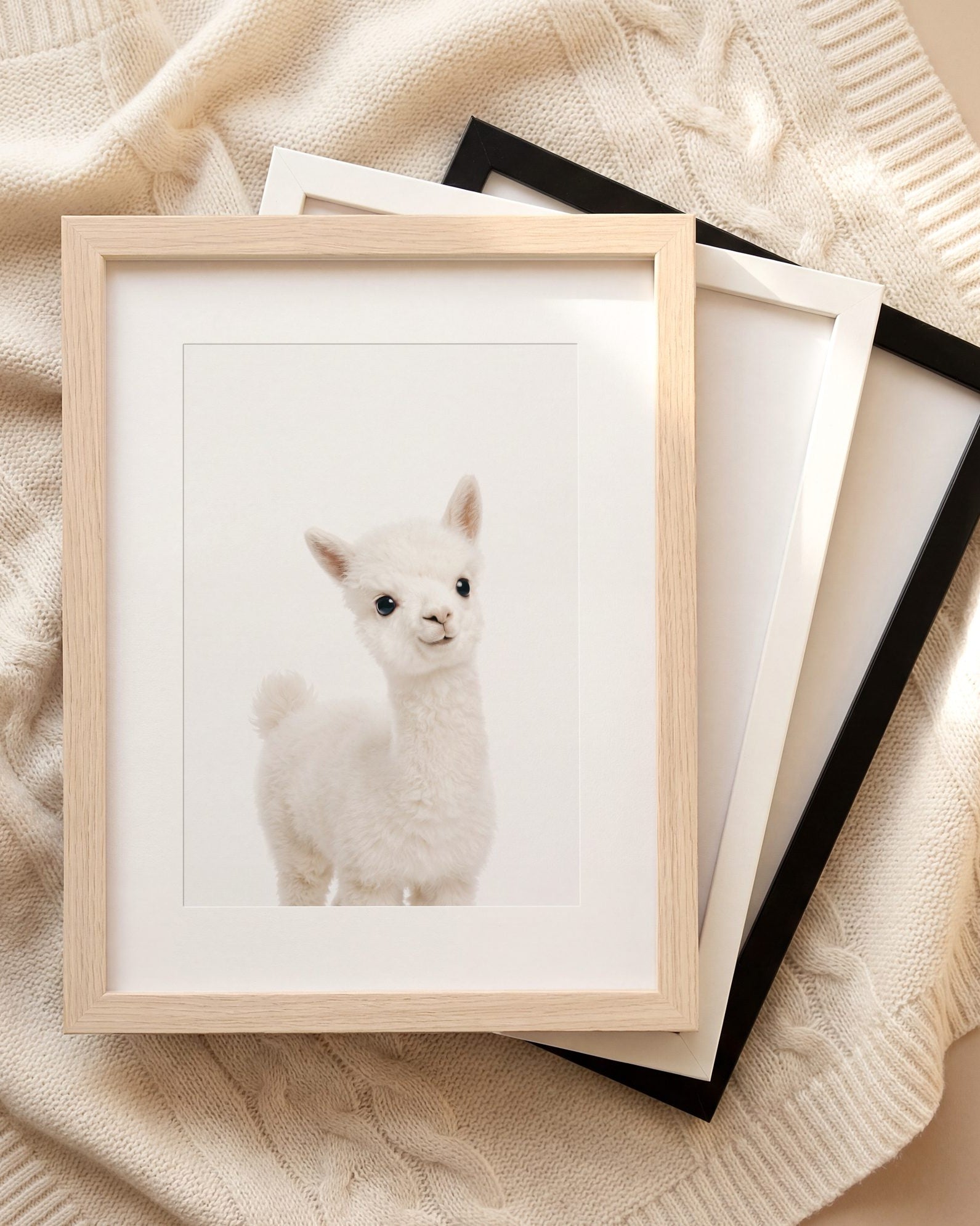 The Baby Animals 2026 Collection