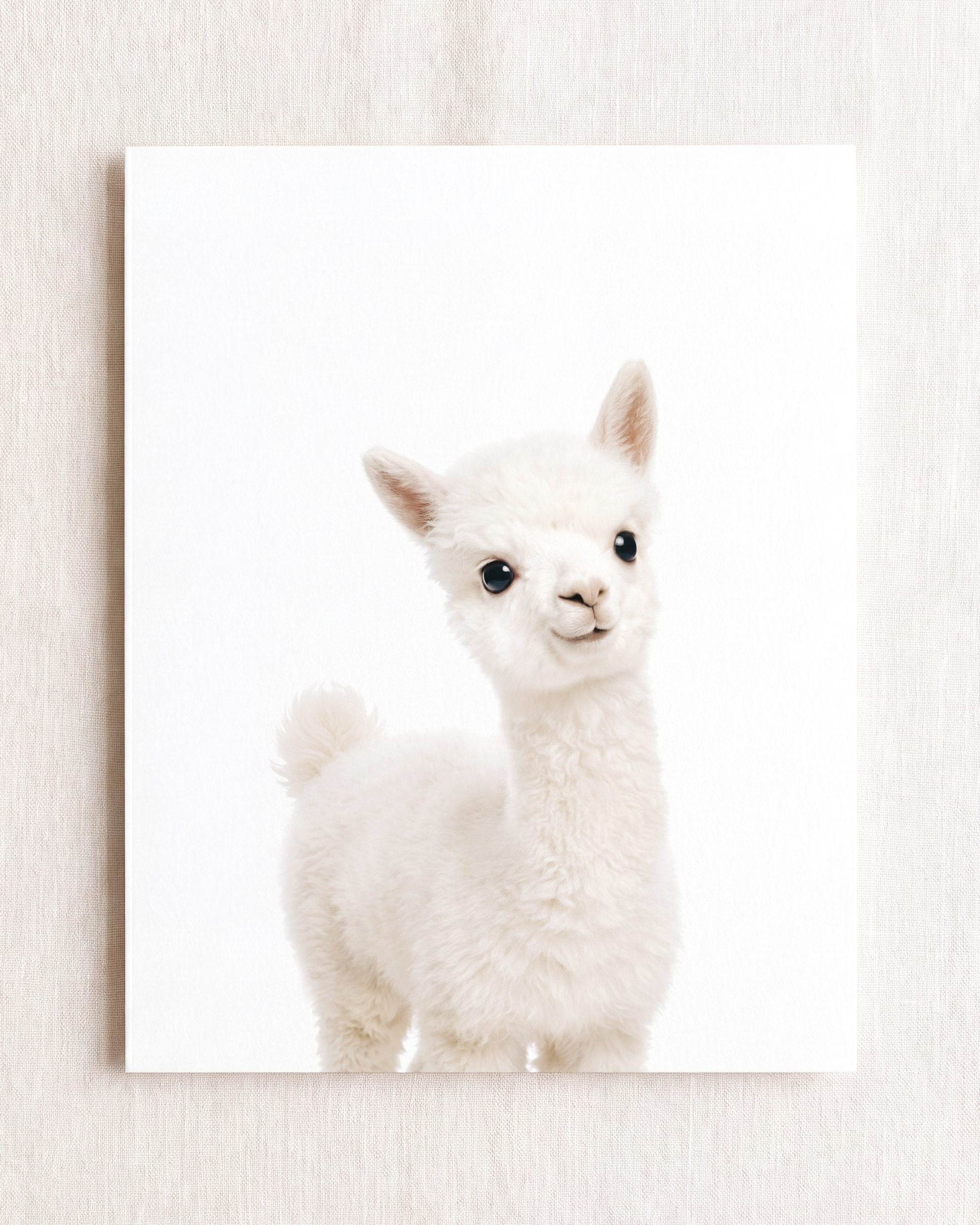 The Baby Animals 2026 Collection