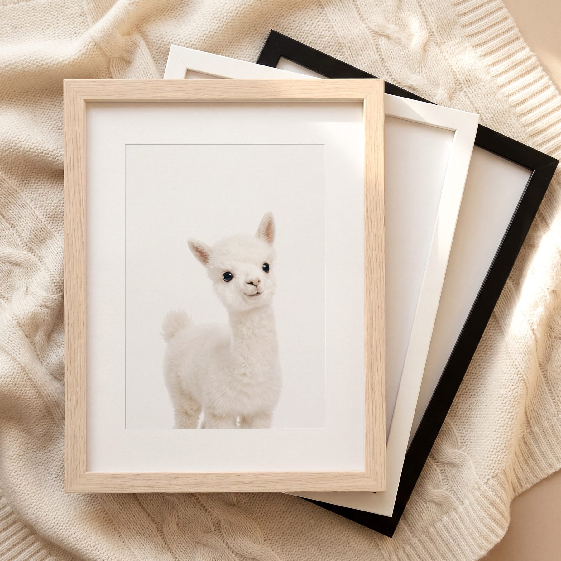 The Baby Animals 2026 Collection