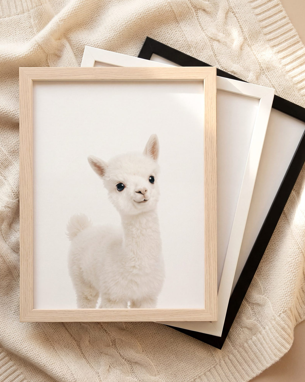 The Baby Animals 2026 Collection