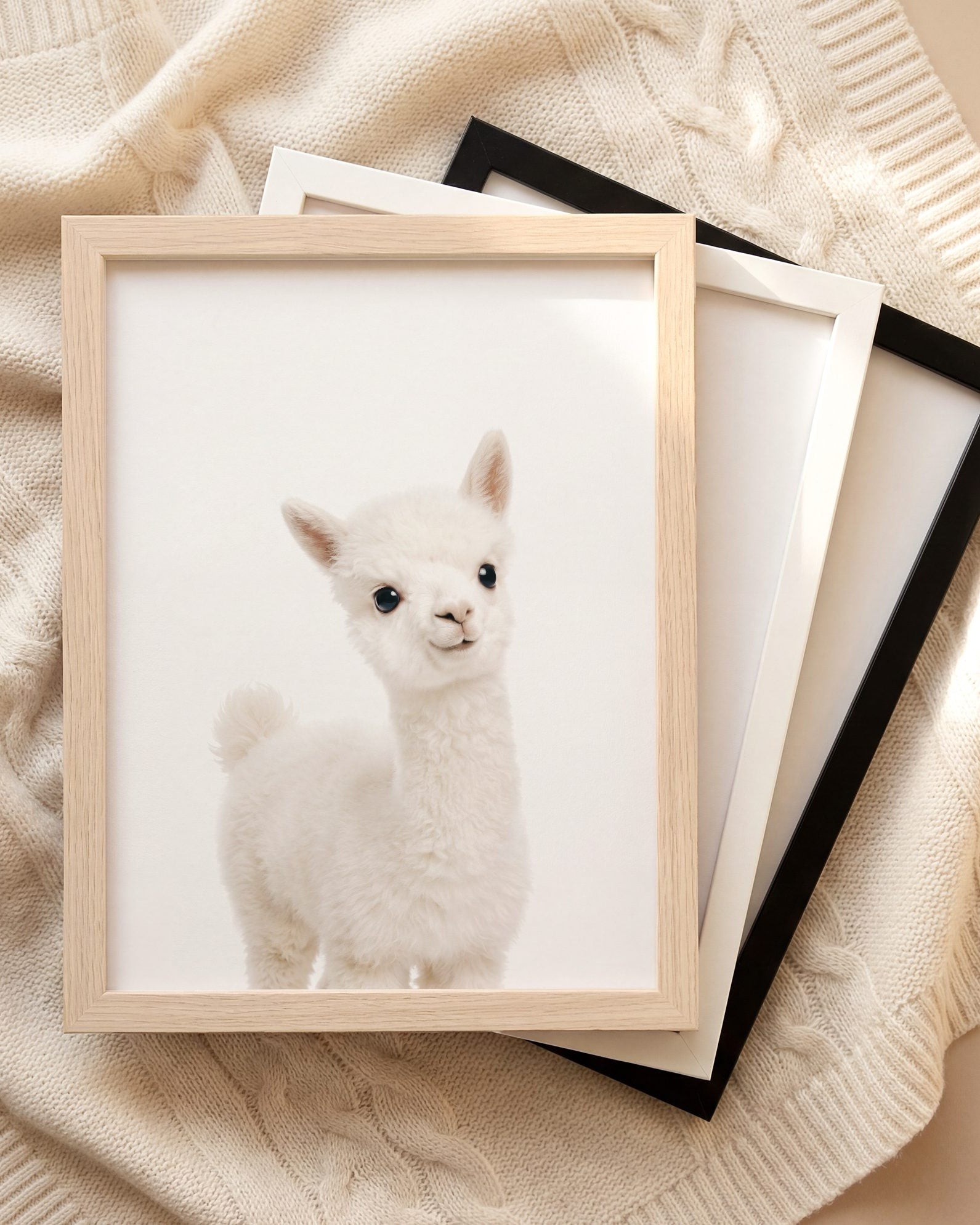 The Baby Animals 2026 Collection