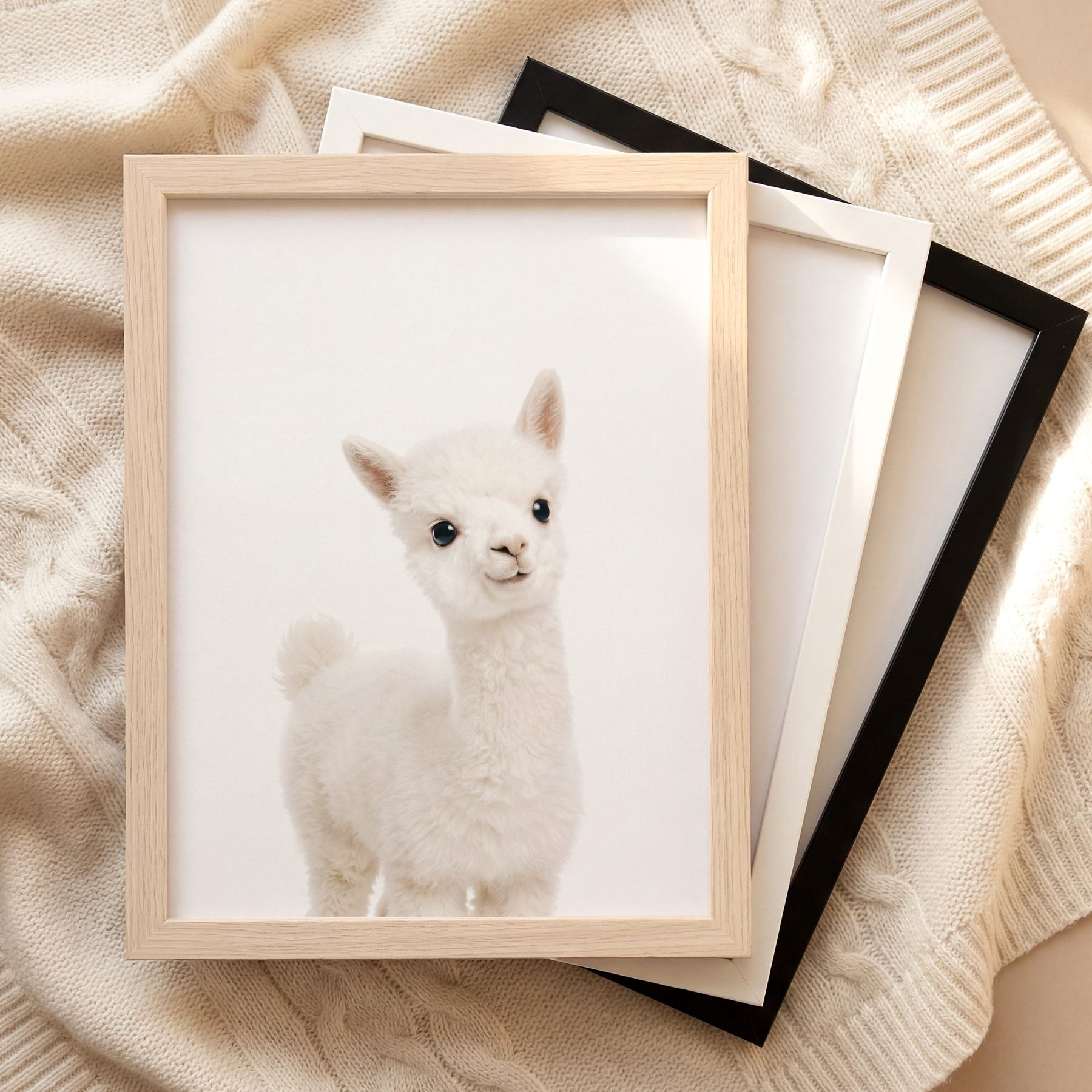 The Baby Animals 2026 Collection