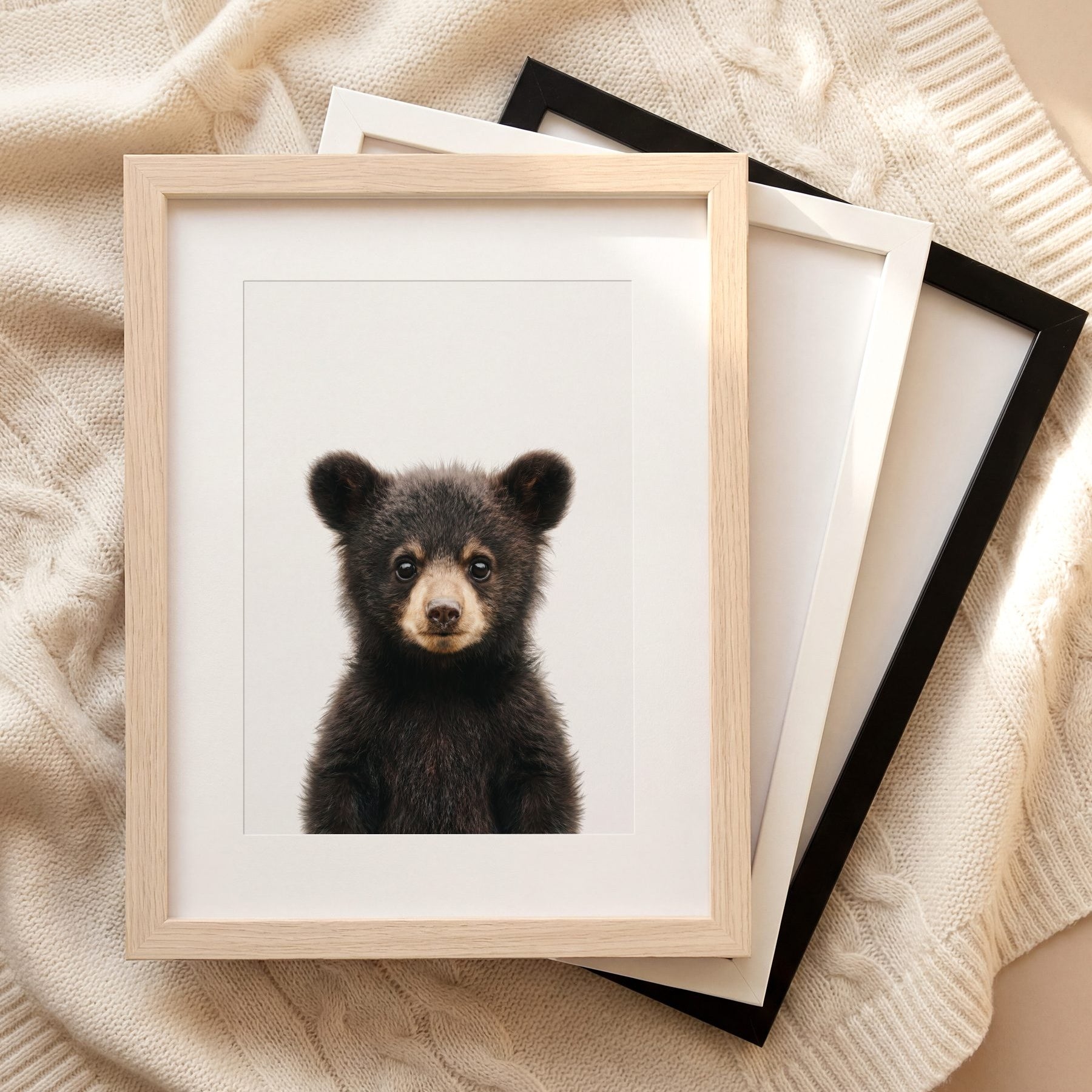 The Baby Animals 2026 Collection