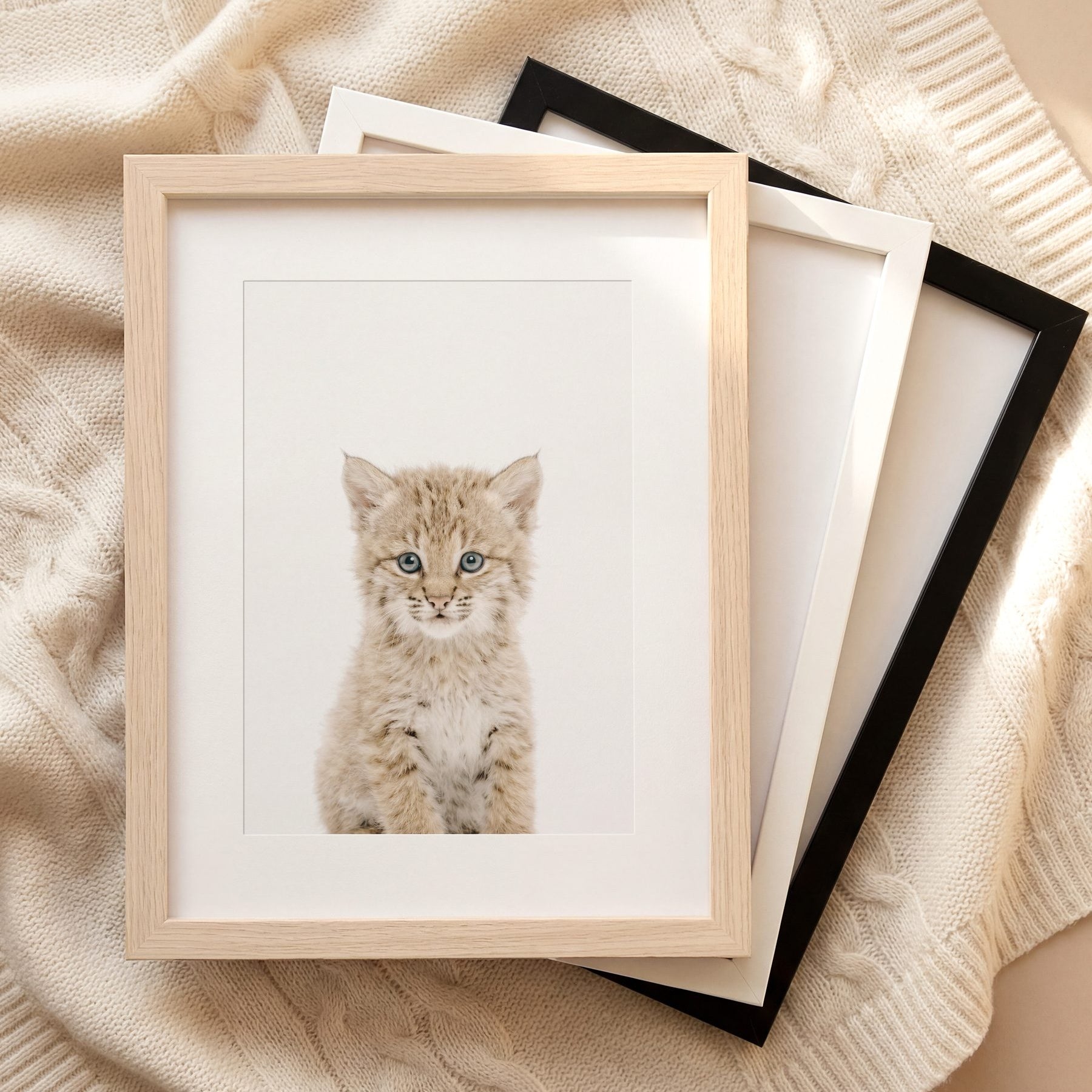 The Baby Animals 2026 Collection