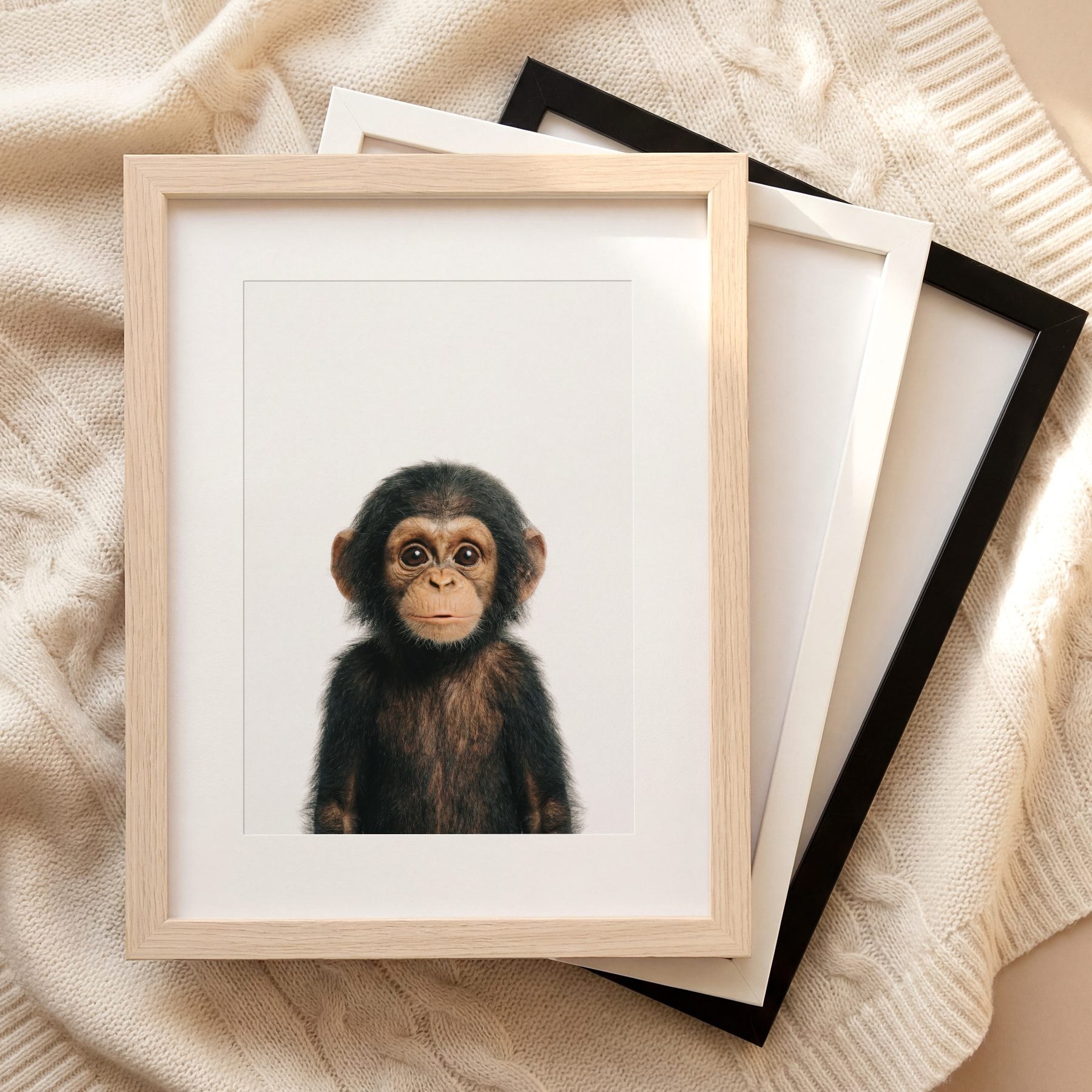 The Baby Animals 2026 Collection