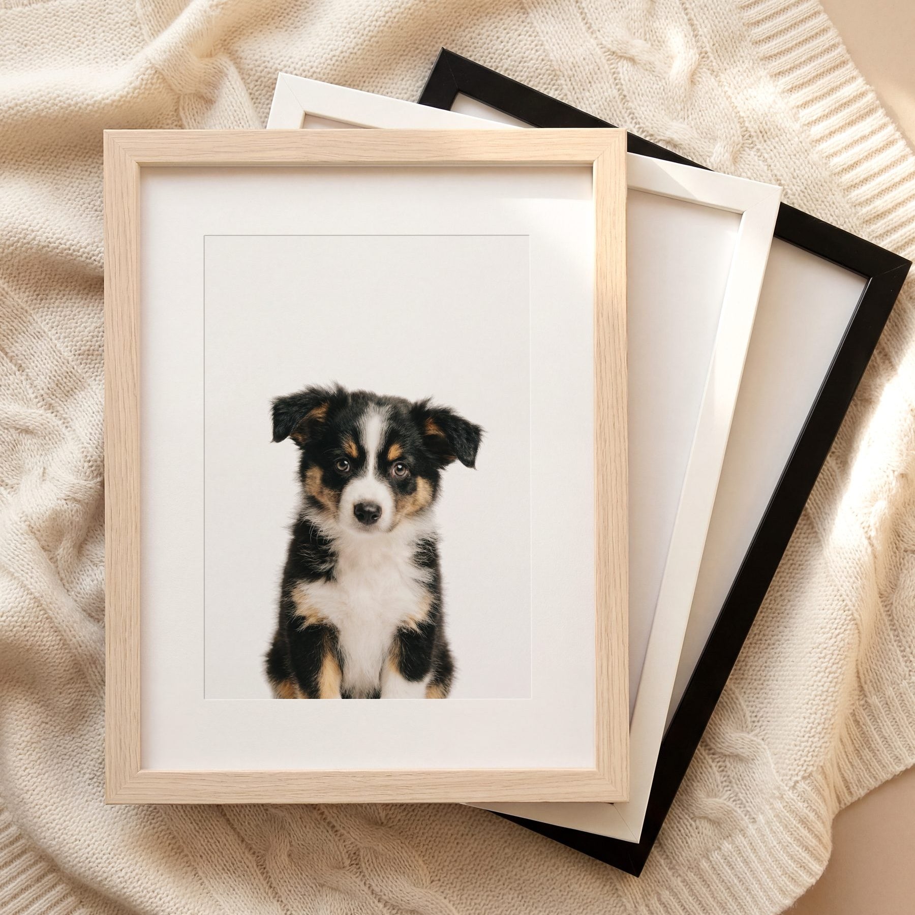 The Baby Animals 2026 Collection