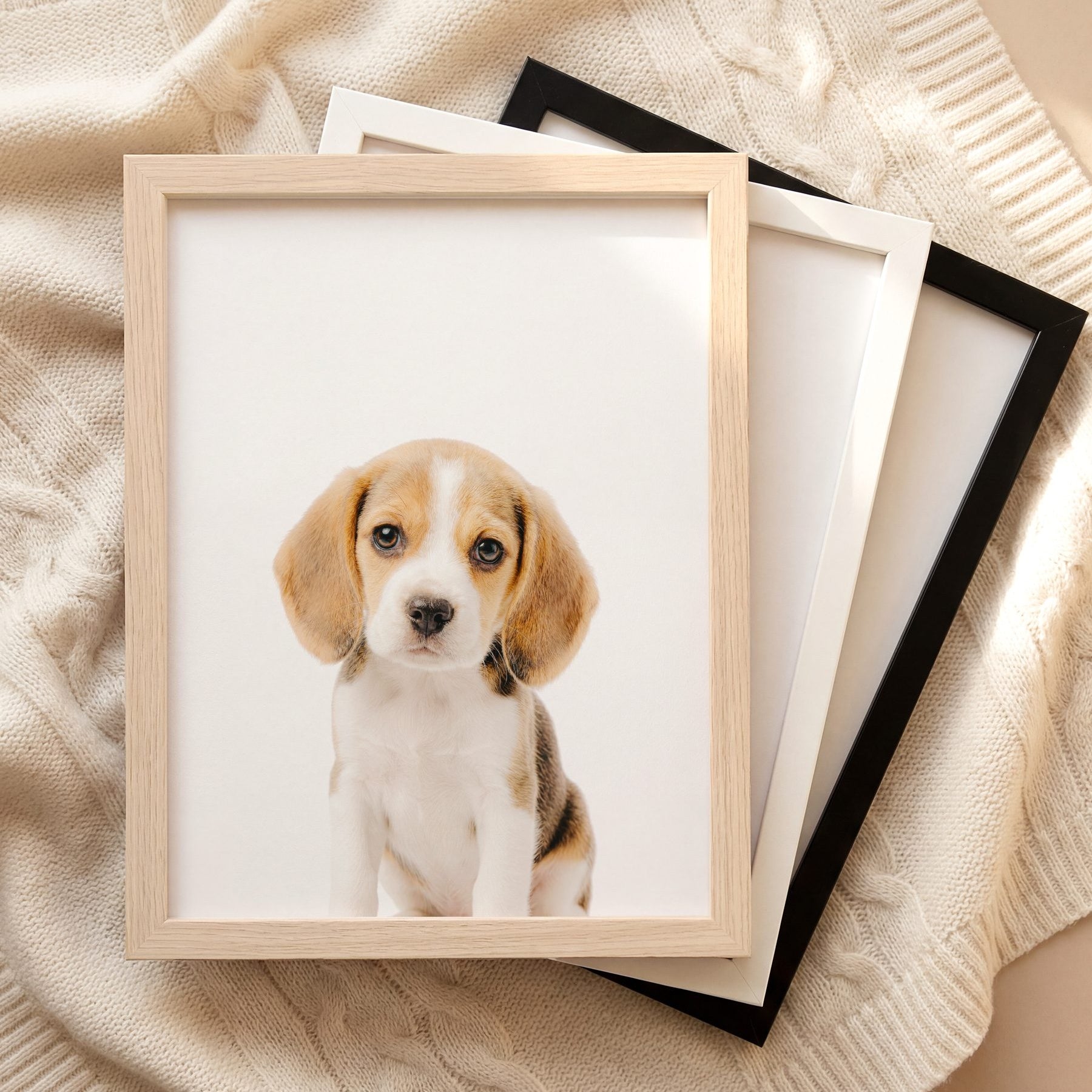 The Baby Animals 2026 Collection