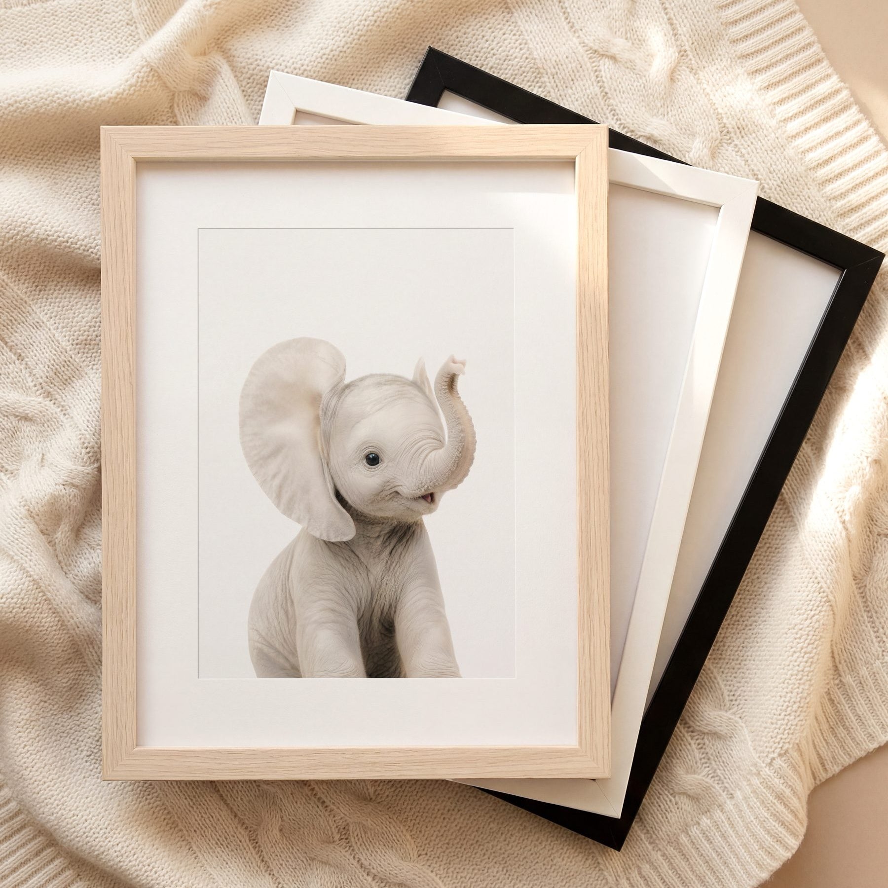 The Baby Animals 2026 Collection