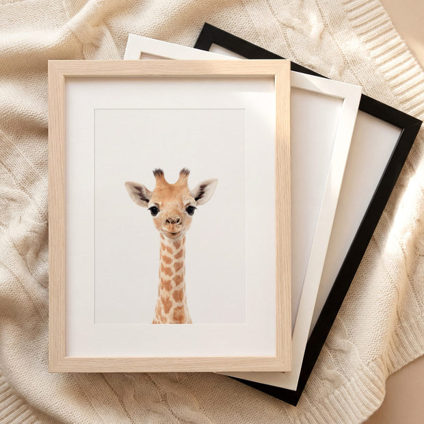 The Baby Animals 2026 Collection