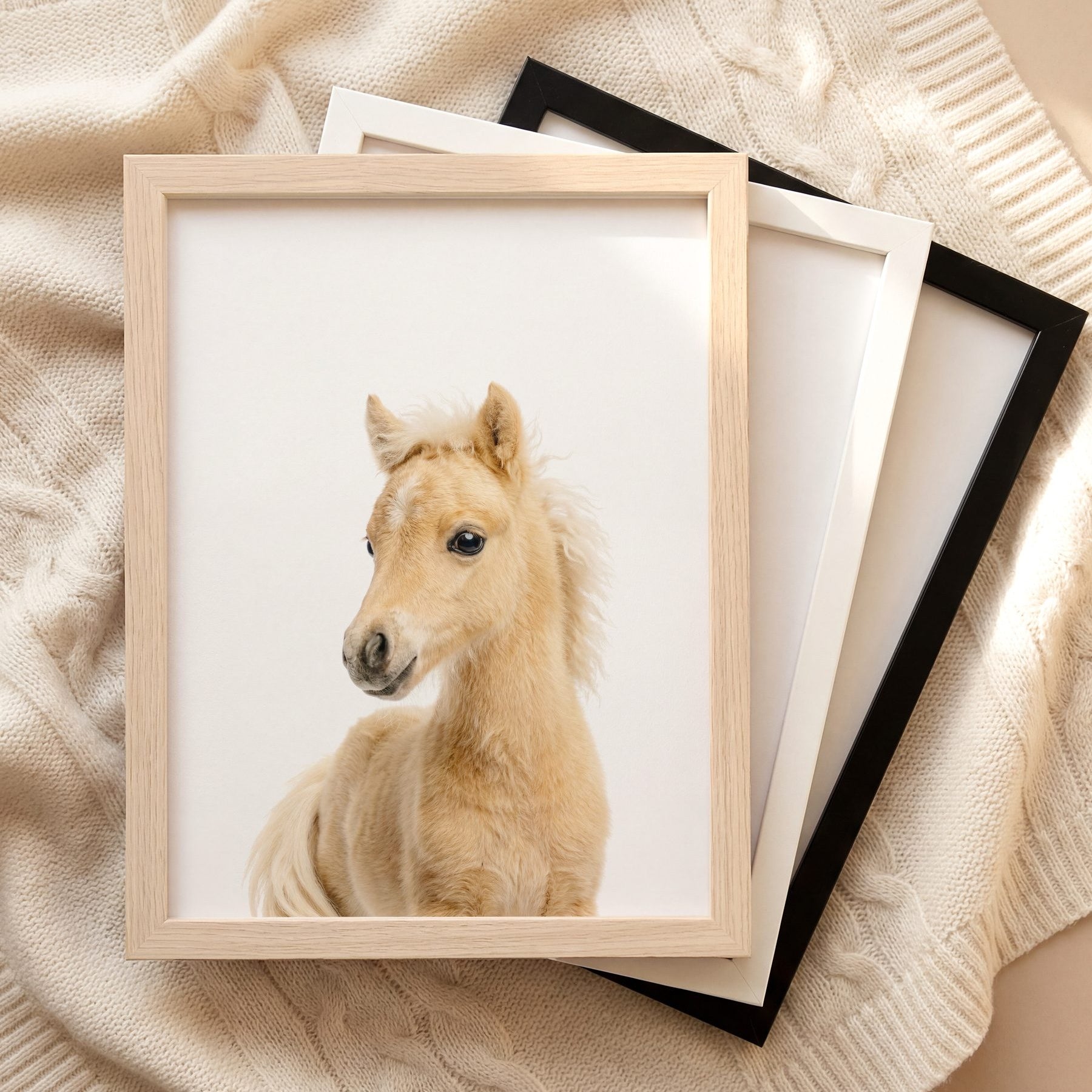 The Baby Animals 2026 Collection