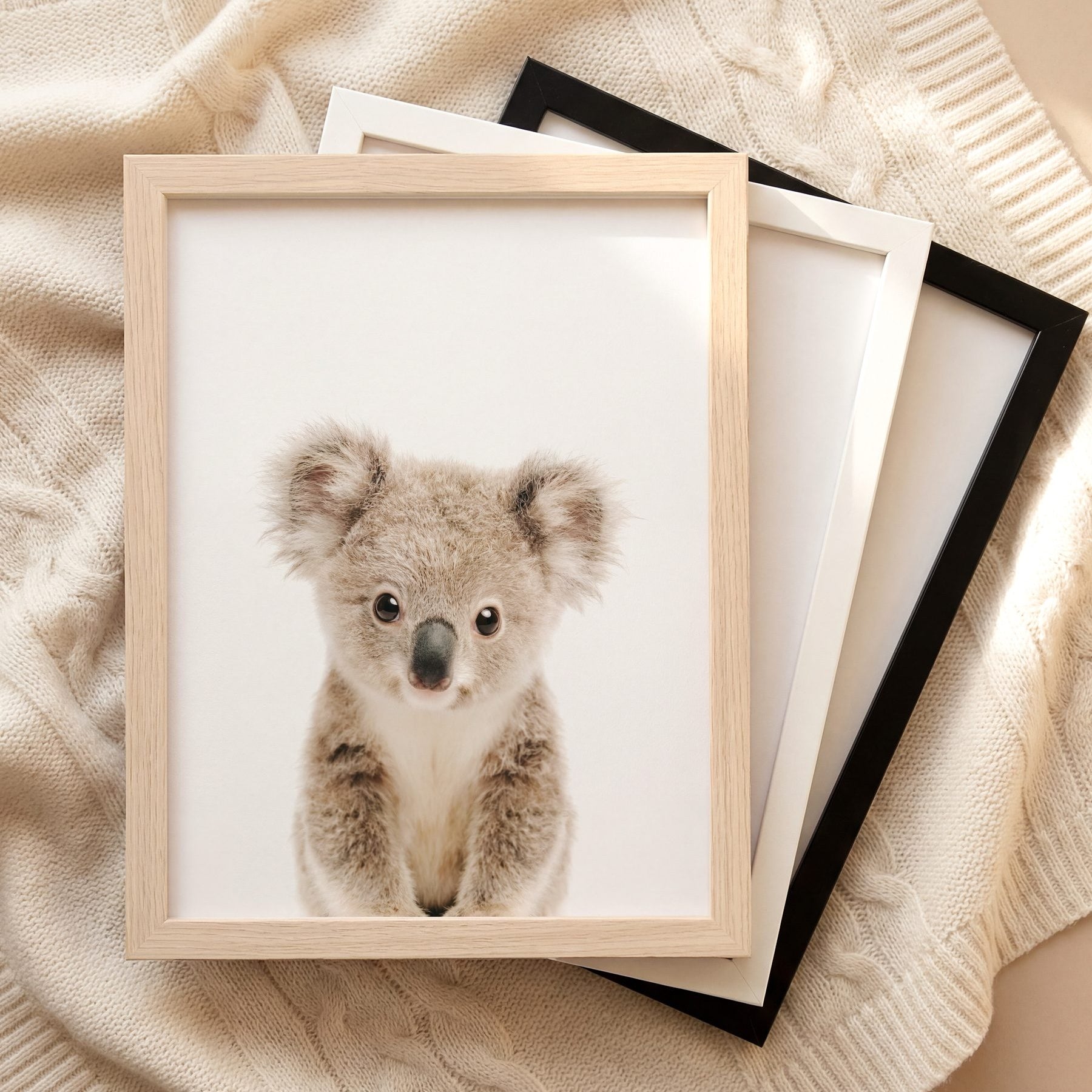 The Baby Animals 2026 Collection