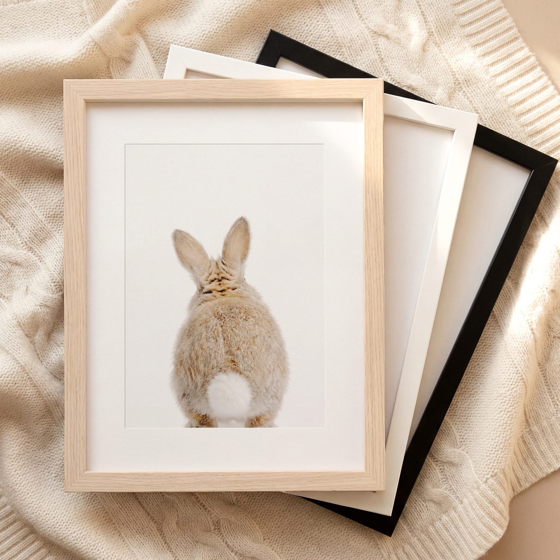 The Baby Animals 2026 Collection