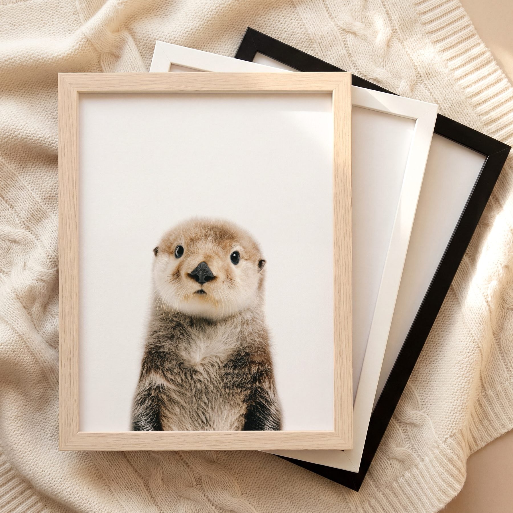 The Baby Animals 2026 Collection