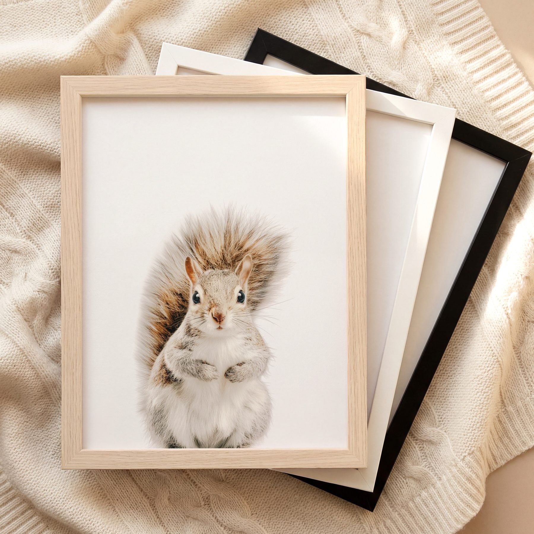 The Baby Animals 2026 Collection